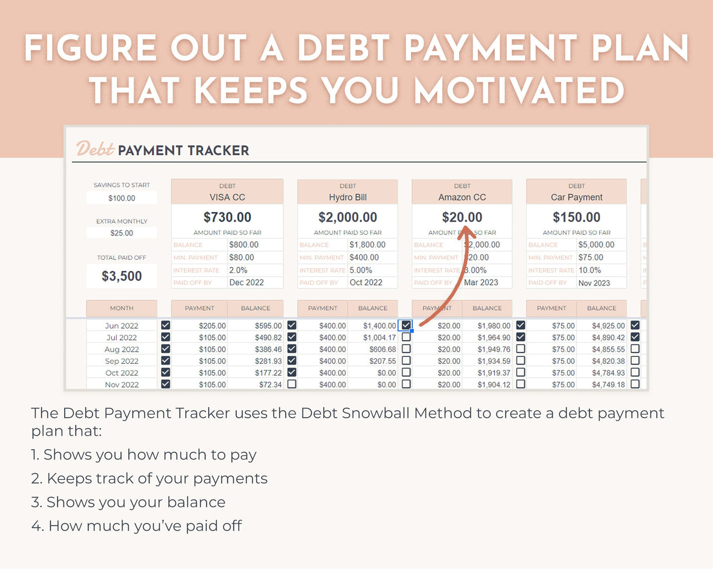 Annual Budget Tracker Spreadsheet (Pink)