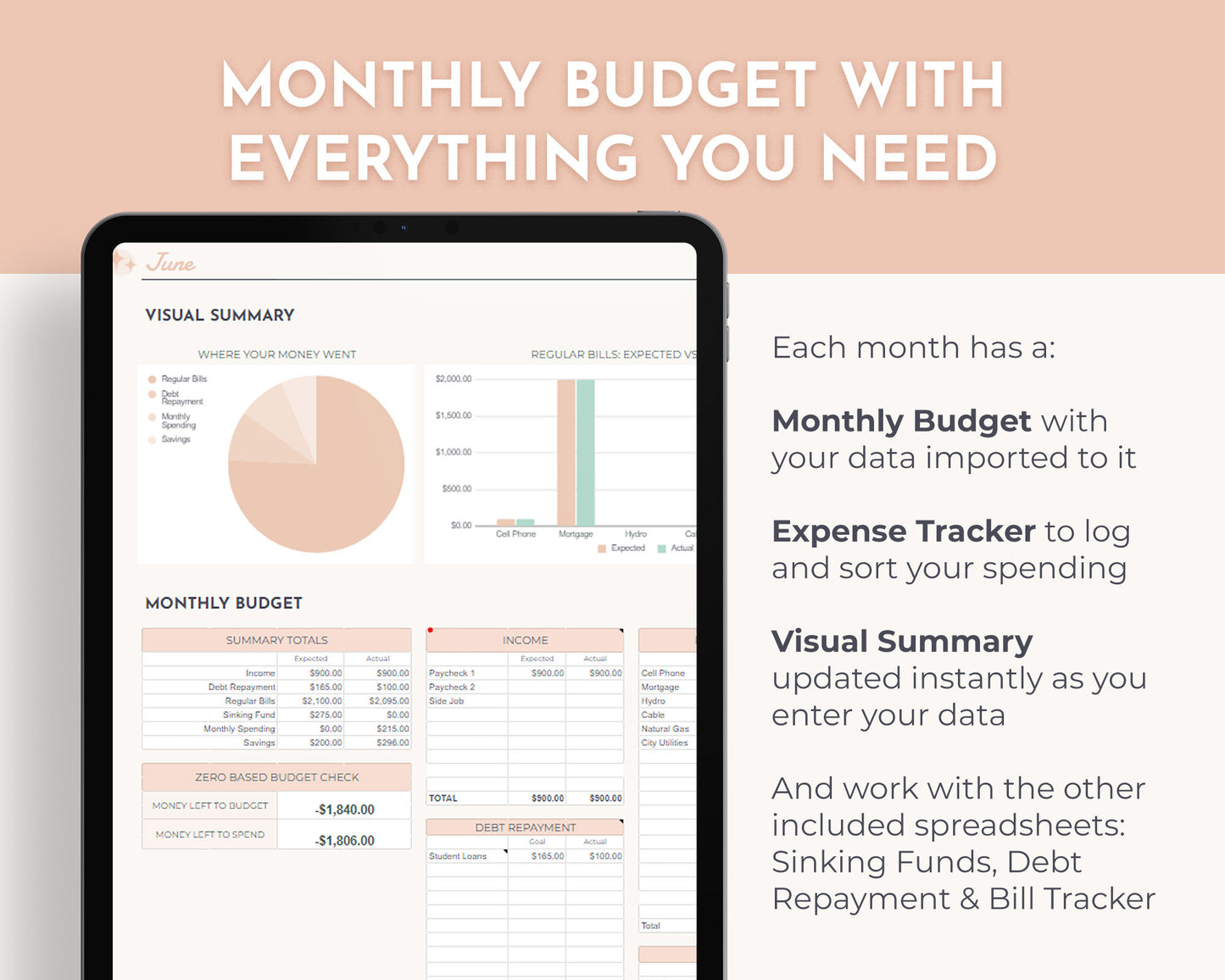 Annual Budget Tracker Spreadsheet (Pink)