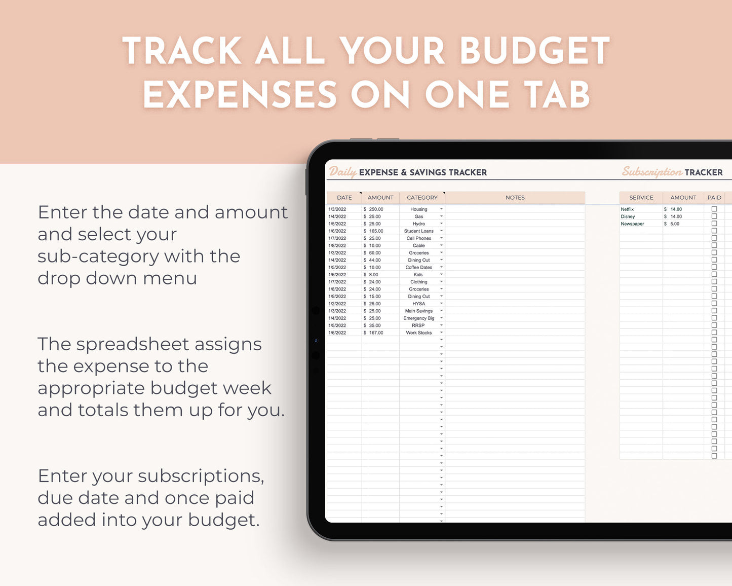 All in One Weekly Budget Digital Spreadsheet