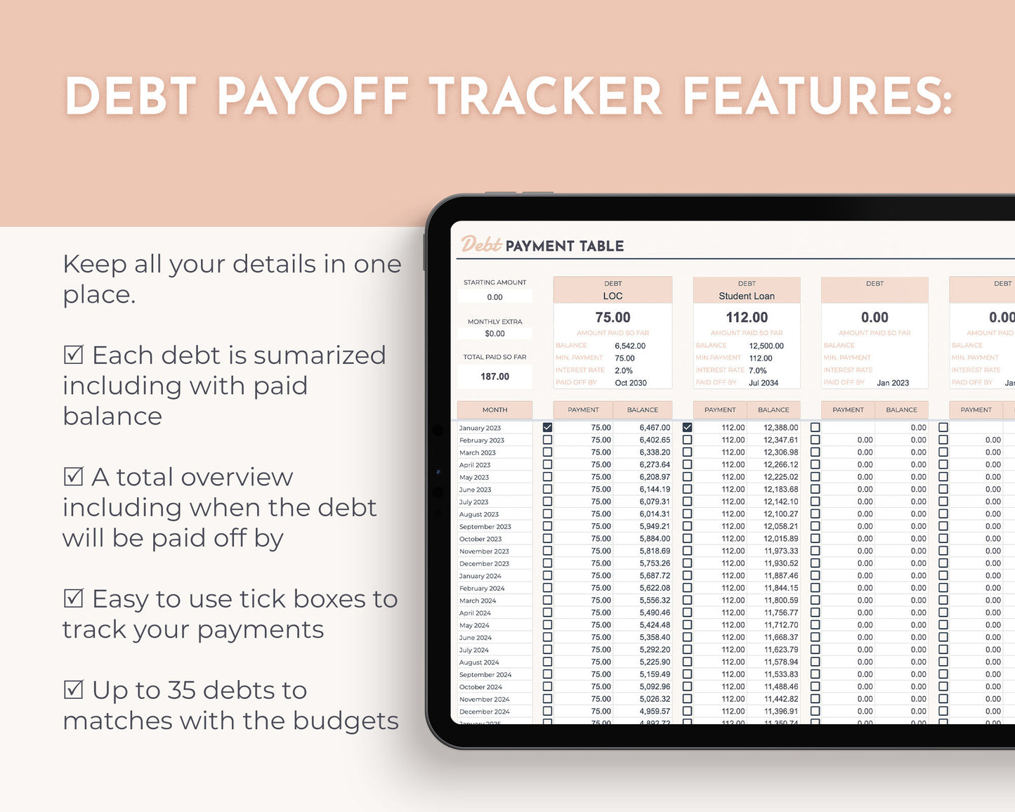 All in One Weekly Budget Digital Spreadsheet