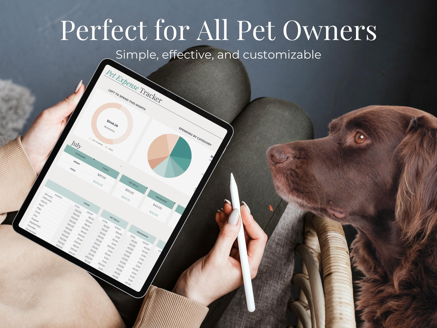 Pet Expense Tracker for Google Sheets & Excel