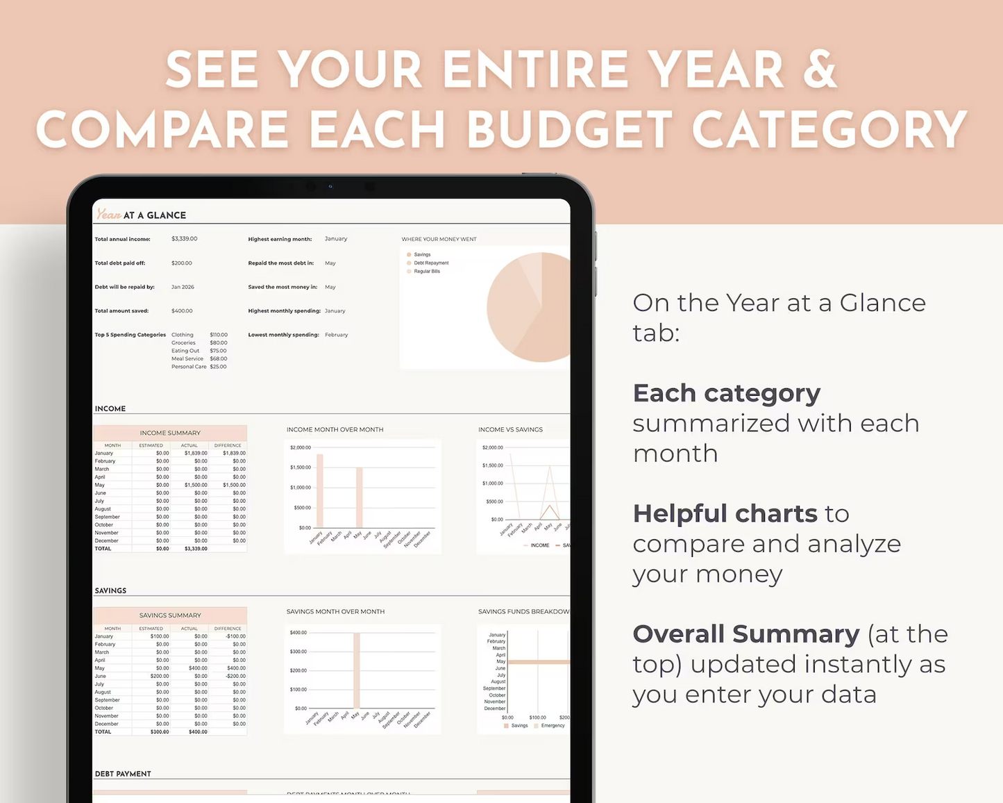 Bi-Weekly Annual Budget Tracker